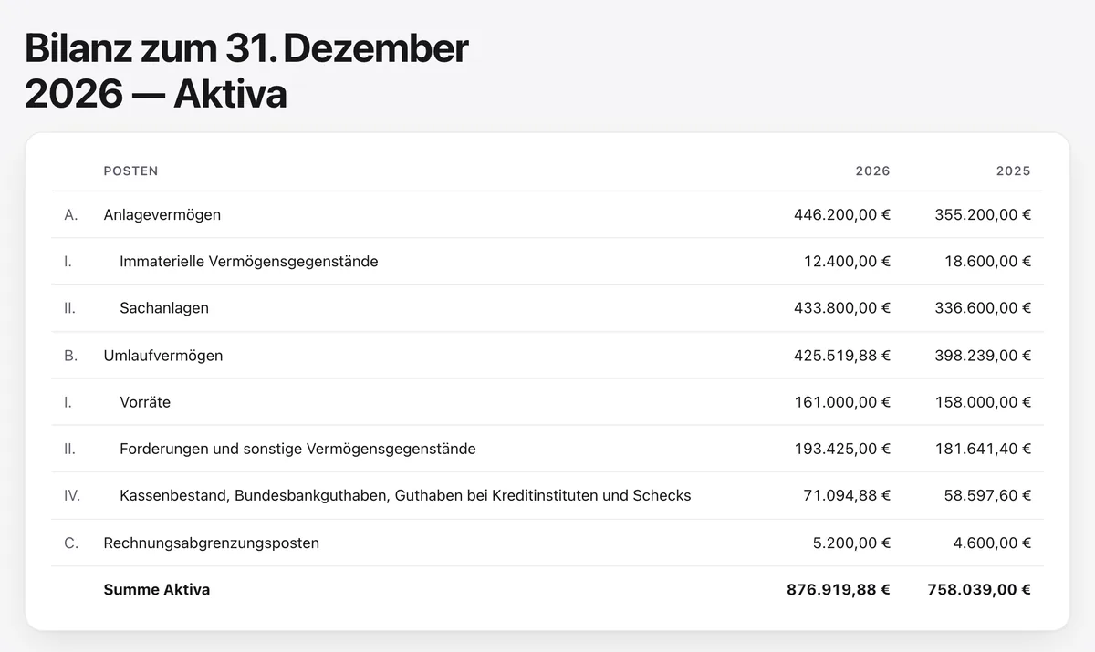 Die Musterbilanz